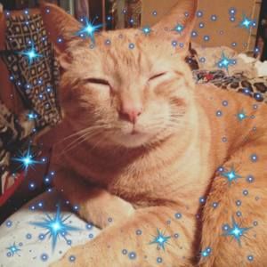 Meet your Posher, Ali